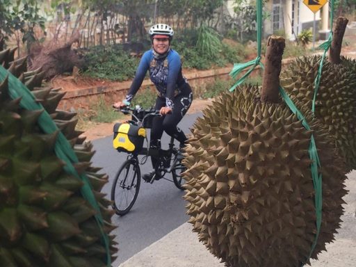 Nasib Sepeda Setelah Masa Anomali Nasib Sepeda Setelah Masa Anomali