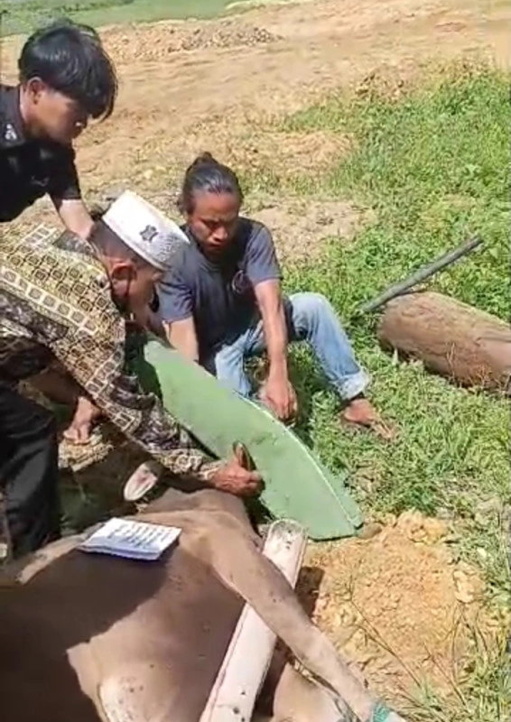 Pt Temporert Berbagi Kebahagiaan Di Hari Raya Kurban Pt Temporert Berbagi Kebahagiaan Di Hari Raya Kurban