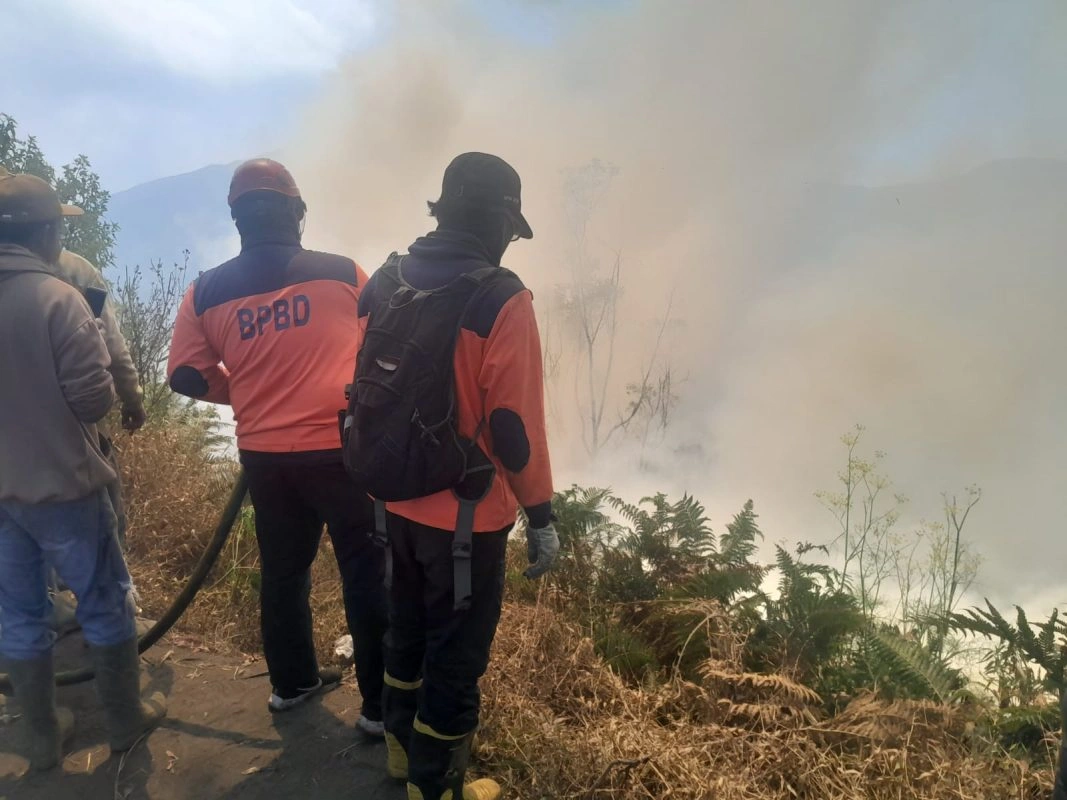 Img-20260805-Wa0022 Kebakaran Hutan Di Tnbts Meluas Ke Wilayah Kabupaten Malang, Kepala Bnpb Tinjau Langsung Lokasi