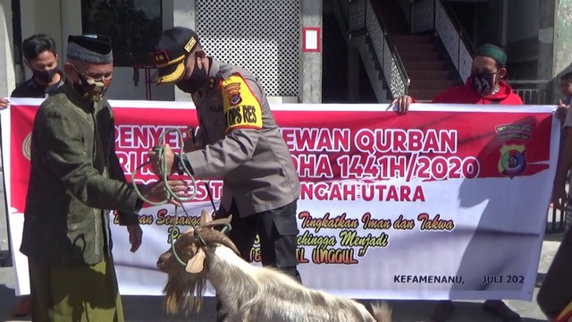 Polres Ttu Sumbang Sembilan Hewan Kurban Untuk Hari Idul Adha