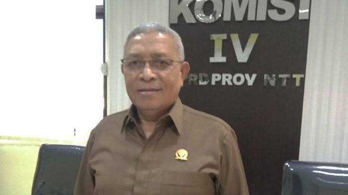 Pilkada Ttu, Golkar Belum Menentukan Sikap Terhadap Amandus Nahas