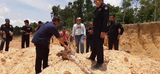 Pertama Kali Di Indonesia, Pelaku Tambang Ilegal Dihukum Pidana Berlapis