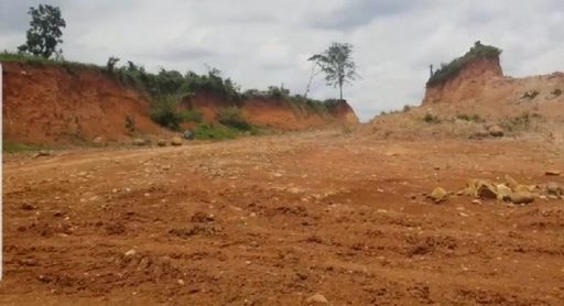 Rupslb Dianggap Melawan Hukum, Pt Tonia Mitra Sejahtera Berperkara Di Pn Kendari.