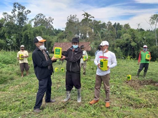 Gandeng Pengusaha, Volunteer Lbh Malang Bantu Bibit Alpukat Impor, Ke Petani