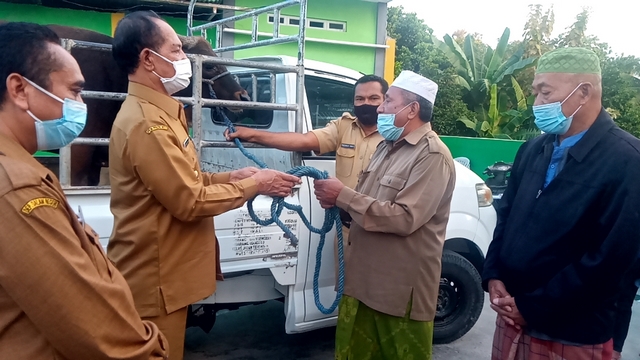 Serahkan Hewan Kurban Bupati Ttu Berharap Umat Islam Di Perbatasan Sholat Ied Di Rumah