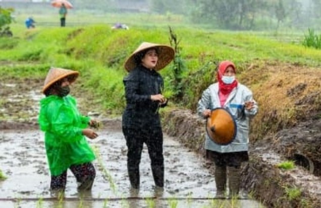 Ketua Dpr Ri Dorong Petani Melek Teknologi
