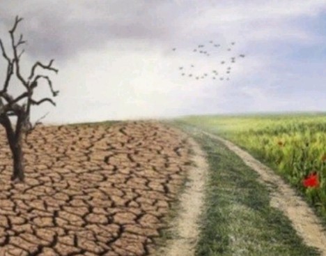 Kegagalan Adalah Jalan Berputar, Bukan Jalan Buntu