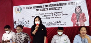 Sosialisasi Perda Dki Dinilai Sudah Efektif