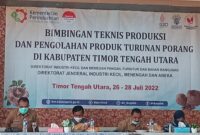 Dirjen Industri Kemenperin Ri Sebut Kabupaten Ttu Produksi Porang Terbesar Di Ntt