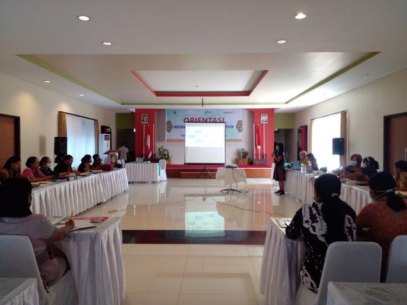 Dr. Santy Menyebut Aplikasi Mpdn Permudah Pelaporan Kasus Kematian Ibu Dan Bayi