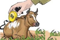 Pemkab Ttu Salurkan Ratusan Ekor Sapi Untuk Warga