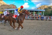 Ttu Dipilih Jadi Ajang Perlombaan Pacuan Kuda Piala Gubernur