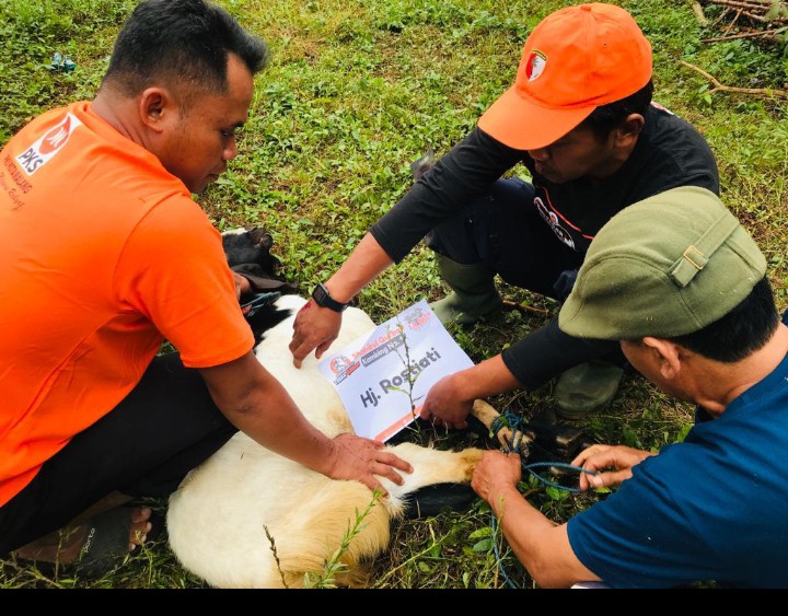 Idul Adha 1444H, Dpd Pks Kota Malang Sembelih Ratusan Hewan Kurban