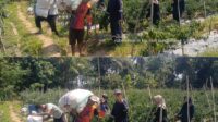 Kadis Asman Dukung Petani Cabe Jadi Pemasok Saus Kemasan