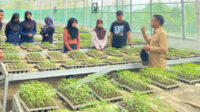 Kadis Asman Dorong Kolaborasi Masyarakat Dalam Meningkatkan Produksi Pangan