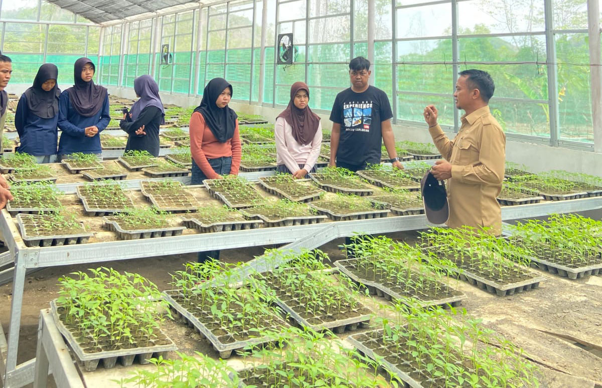 Kadis Asman Dorong Kolaborasi Masyarakat Dalam Meningkatkan Produksi Pangan
