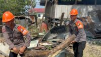 Pohon Tumbang Di Bone Sulawesi Selatan, Rumah Warga Diterjang, Tim Sar Brimob Langsung Beraksi