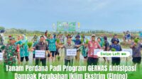 Kadis Asman Gandeng Trubus Dan Mandraguna, Terobosan Cerdas Tingkatkan Produktivitas Pertanian Di Bone