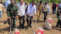 Kebersamaan Menuju Swasembada Pangan, Kadis Asman Dorong Inovasi Pertanian Melalui Kegiatan Optimalisasi Jagung Hibrida