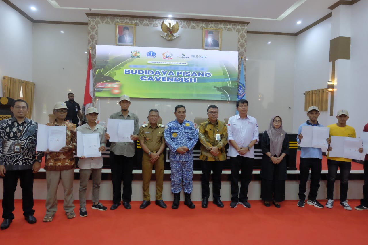 Bank Sulselbar Salurkan Kredit Rp1,15 Miliar Untuk 13 Petani Pisang Di Sulawesi Selatan