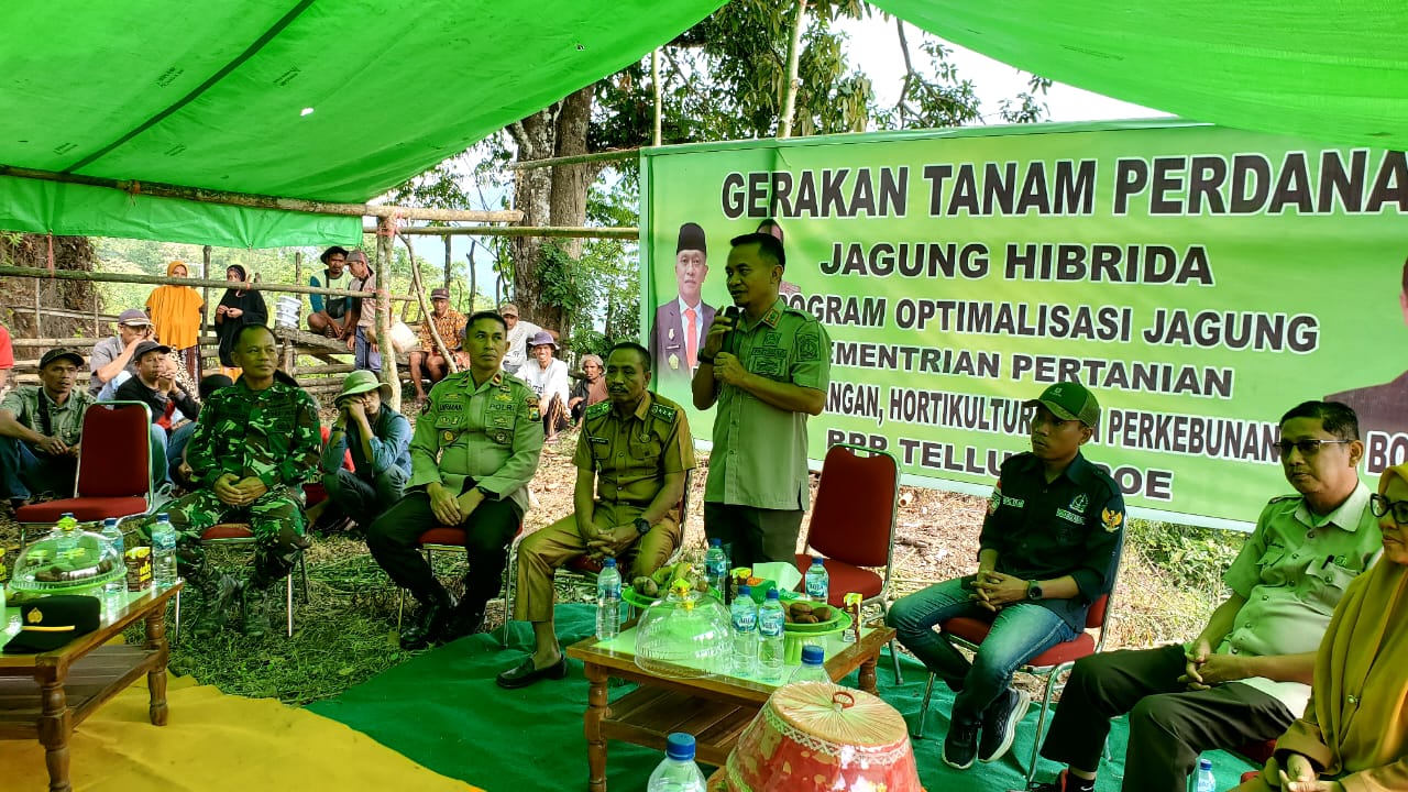 Penguatan Sektor Pertanian, Kadis Asman Giatkan Gerakan Tanam Jagung Hibrida