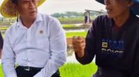 Terobosan Besar, Petani Bisa Beli Pupuk Subsidi Dengan Ktp, Tanpa Harus Miliki Kartu Tani