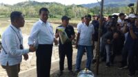 Alhamdulillah! Anggaran Pupuk 14 Triliun, Menteri Pertanian Permudah Akses Dengan Ktp