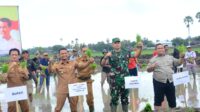 Wujudkan Kemandirian Pangan Melalui Pertanian, Tni Turut Ambil Bagian Sukseskan Optimalisasi Lahan Rawa Di Bone
