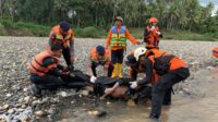 Tragedi Sungai Walannae, Warga Soppeng Hilang Tenggelam, Tim Sar Gabungan Temukan Korban Meninggal