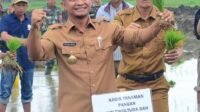 Meski Kekeringan, Bone Tetap Eksis Dan Masuk 10 Besar Sentra Padi Nasional 2023, Kadis Asman Apresiasi Kerja Keras Petani