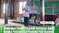 Bone Siap Bersaing, Bimtek Penyuluh Pertanian Dorong Peningkatan Produksi Padi Nasional