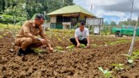 Andi Asman Sulaiman, Pencetus Program Pekarangan Pangan Lestari, Kunjungi Desa Lampoko, Membangun Kesejahteraan Petani Dari Lahan Pekarangan