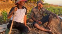 Sosok Inspiratif, Andi Asman Sulaiman Dekat Dengan Petani, Gugah Generasi Milenial Untuk Tidak Takut Bertani