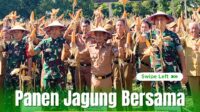 Ketahanan Pangan Di Kabupaten Bone Diperkuat Melalui Panen Raya Jagung Yang Meriah