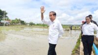 Kunjungan Kerja Di Bone, Presiden Jokowi Interaksi Langsung Dengan Petani