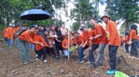 Gerakan Hijau Pt Telkom Dan Kph Cenrana Untuk Masa Depan Bone Yang Lebih Hijau, Wujudkan Desa Passempe Sentra Sukun Dan Matoa