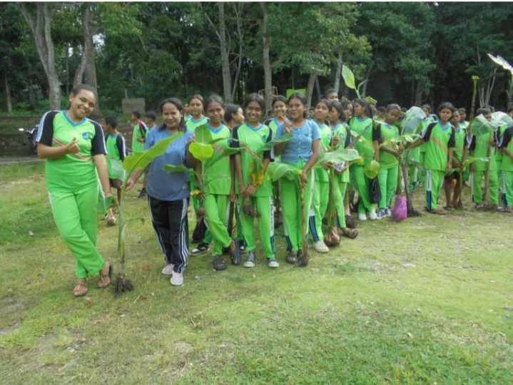 Smpn 1 Miomaffo Timur Hijaukan Lahan Kosong