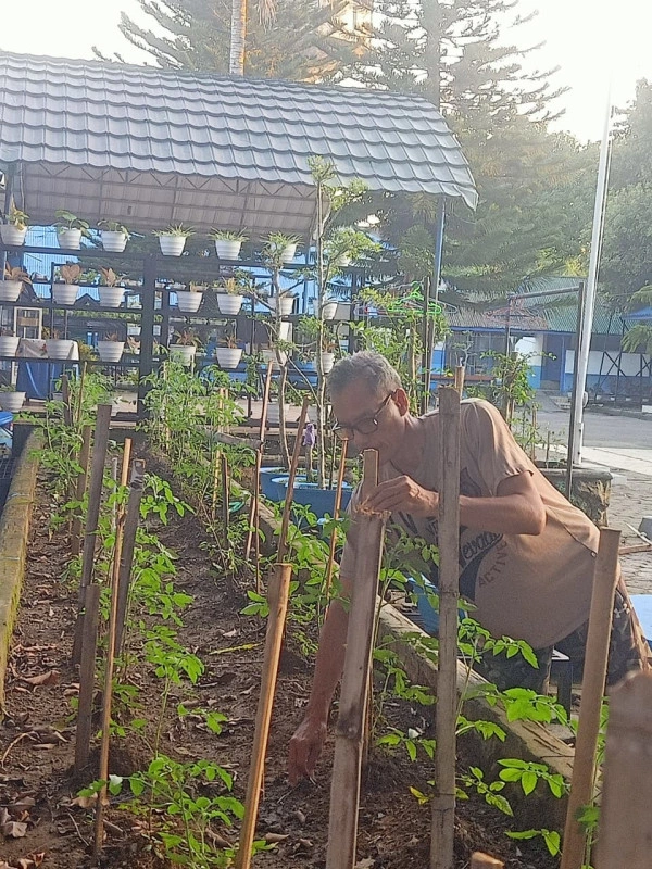 Pertanian Masuk Sekolah, Dari Kelas Ke Kebun: Transformasi Hijau Smpn 1 Watampone Bersama Muhammad Arfah