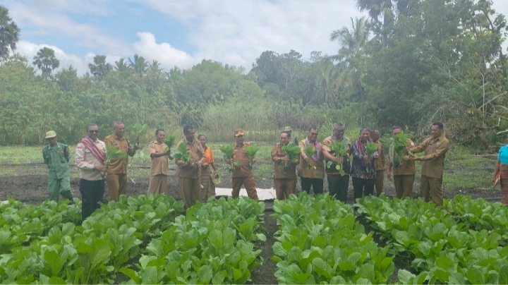 Wakil Bupati Ttu Dorong Pertanian Hortikultura Sebagai Strategi Ekonomi Perbatasan
