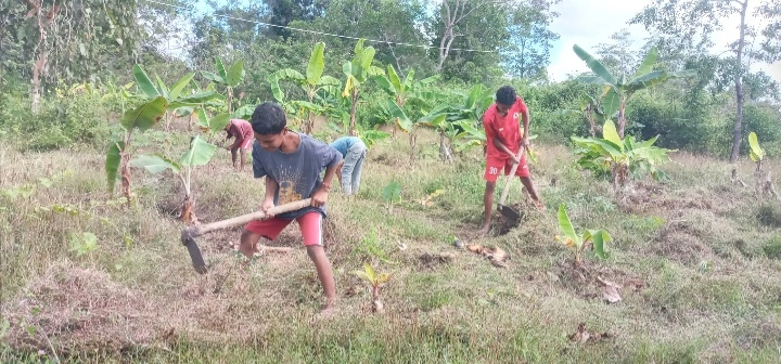 Yayasan Kki Kefamenanu Membangun Generasi Mandiri Dengan Pendidikan Berbasis Pertanian