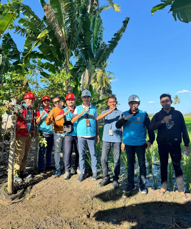 Kolaborasi Pln, Dpr Ri, Dan Petani Wajo Wujudkan Pertanian Modern Berbasis Listrik