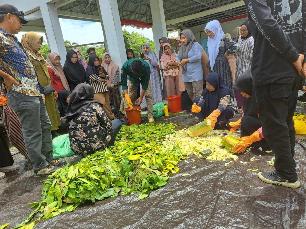 Desa Di Bone Kembangkan Kebun Pekarangan Bergizi, Wujudkan Ketahanan Pangan Keluarga