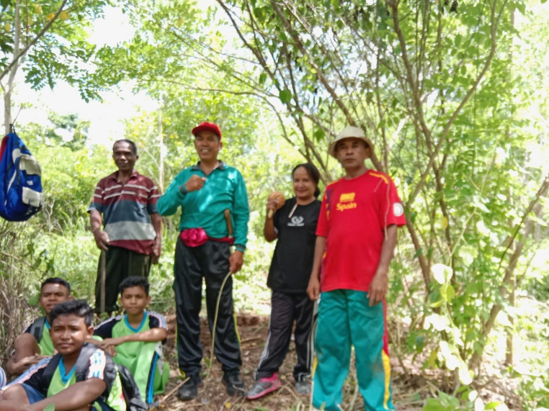 Smp Negeri 1 Miomaffo Timur Lakukan Penghijauan, Tanam Ratusan Pohon Umur Panjang