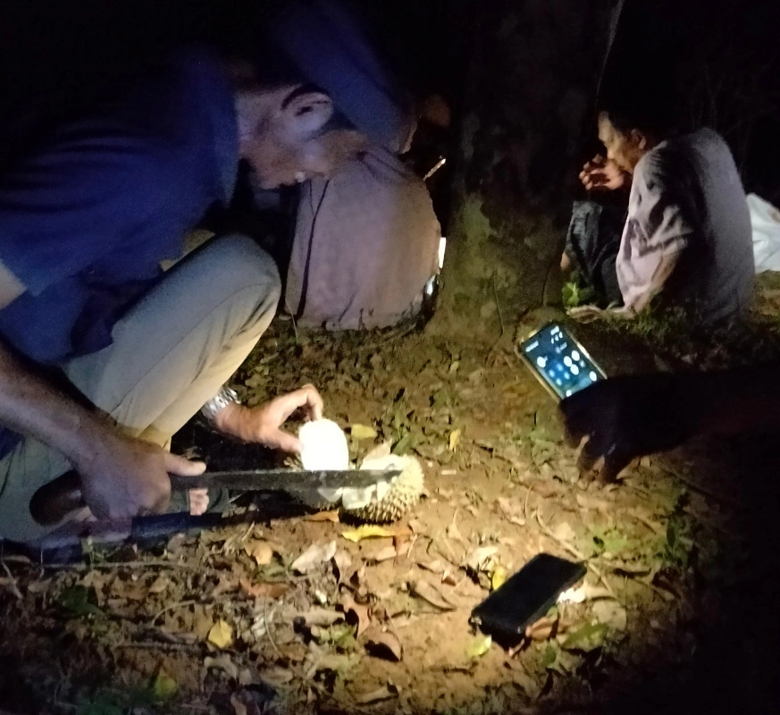 Di Lerang, Durian Bukan Sekadar Buah, Tapi Nafkah