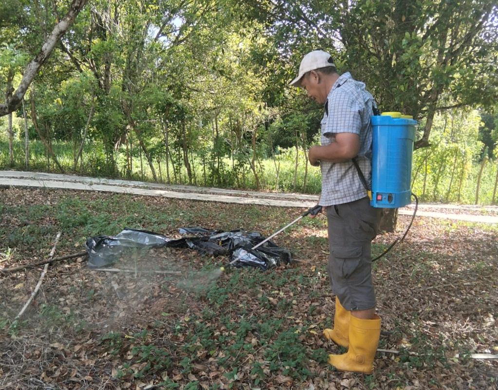 Di Lerang, Durian Bukan Sekadar Buah, Tapi Nafkah
