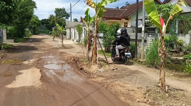 Bupati Didesak Turun Tangan, Jalan Kalirejo Darurat Perbaikan