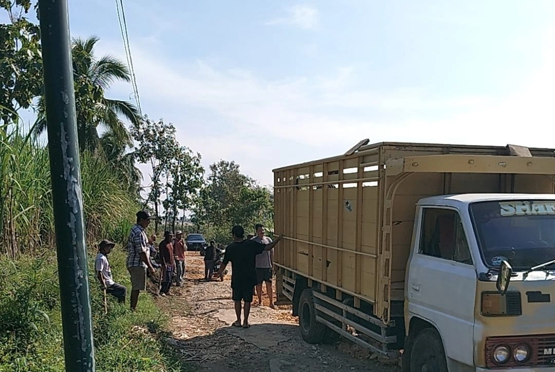 Warga Kalipare Gotong Royong Perbaiki Jalan Rusak, Apan Ri Desak Audit Anggaran