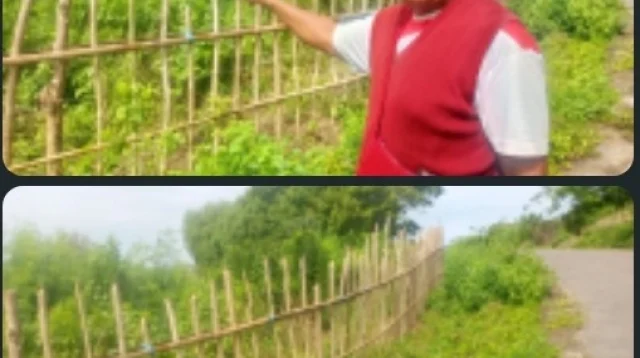 Sengketa Batas Tanah Di Mbondei  Kel. Tanahrara, Kec. Kota Komba Matim