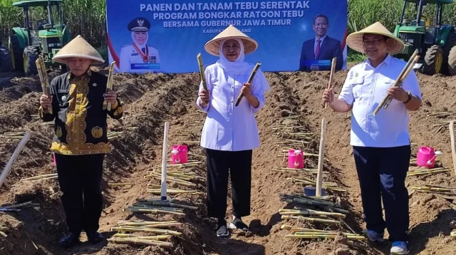 Pemprov Jatim Gandeng Cv Lang Buana Genjot Program 'Bongkar Ratoon' Tebu Di Malang