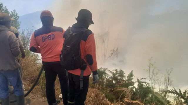 Kebakaran Hutan Di Tnbts Meluas Ke Wilayah Kabupaten Malang, Kepala Bnpb Tinjau Langsung Lokasi